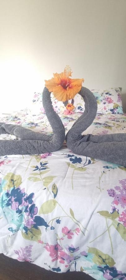 Hostal Henua Roa 2 Apartment Hanga Roa Ngoại thất bức ảnh